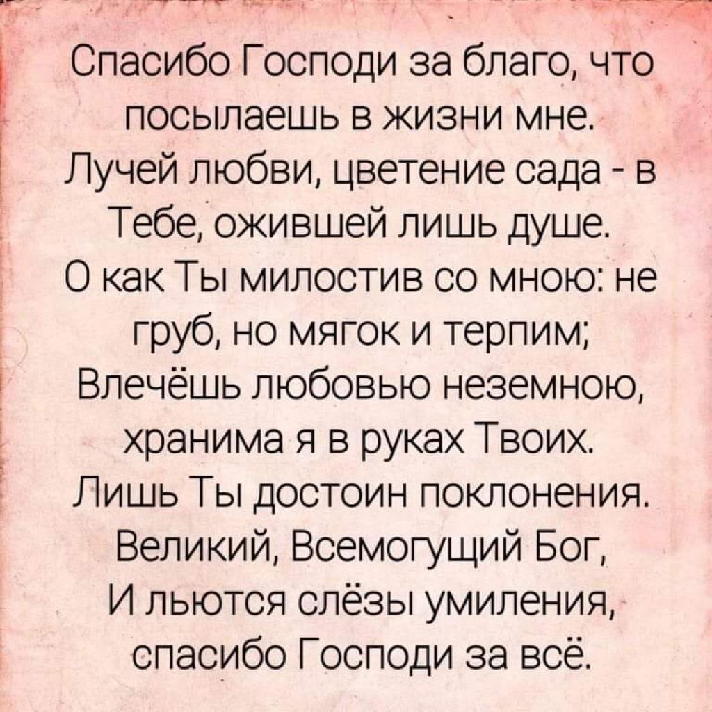 Стихотворение я русский спасибо