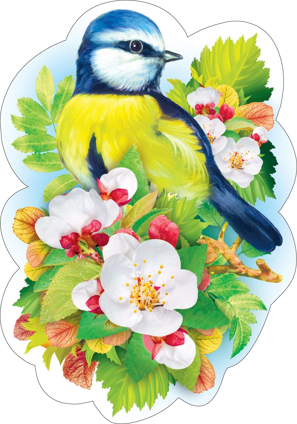 Картинки птичек для детей в детском саду. Весенние птицы для украшения группы в детском саду. Птица рисунок. Красивые птички для детского сада.