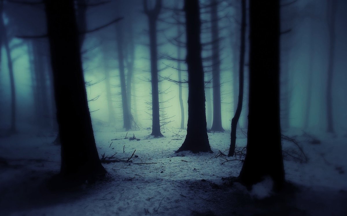 Темный лес гача фон