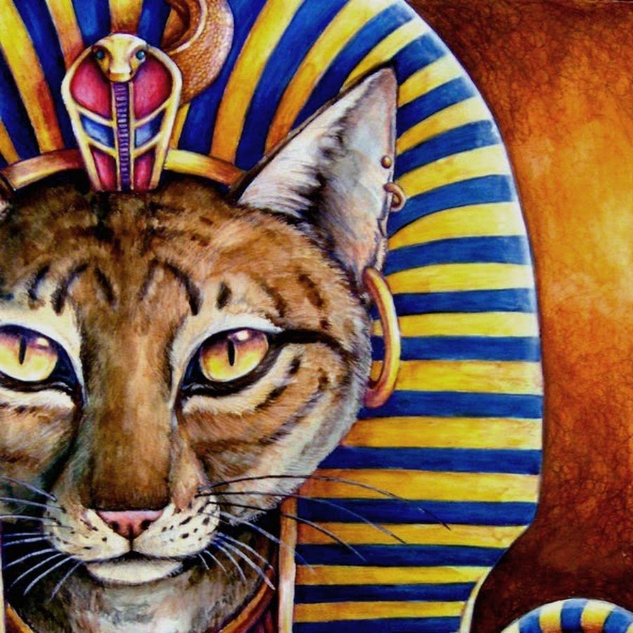 Звуки египта для кошек слушать. Египетская кошка фараона. Кот сфинкс фараон. Древнеегипетская кошка фараон. Коты египетские МАУ фараон.
