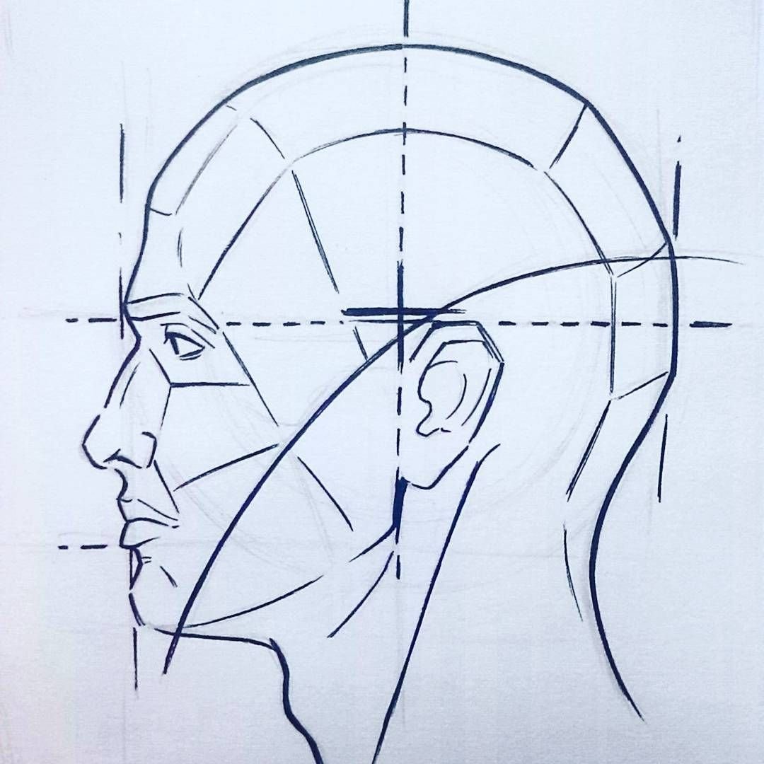 Картинки нарисованные голова. Рисование головы. Рисование человека в профиль. Рисование головы человека в профиль. Голова человека рисунок карандашом.