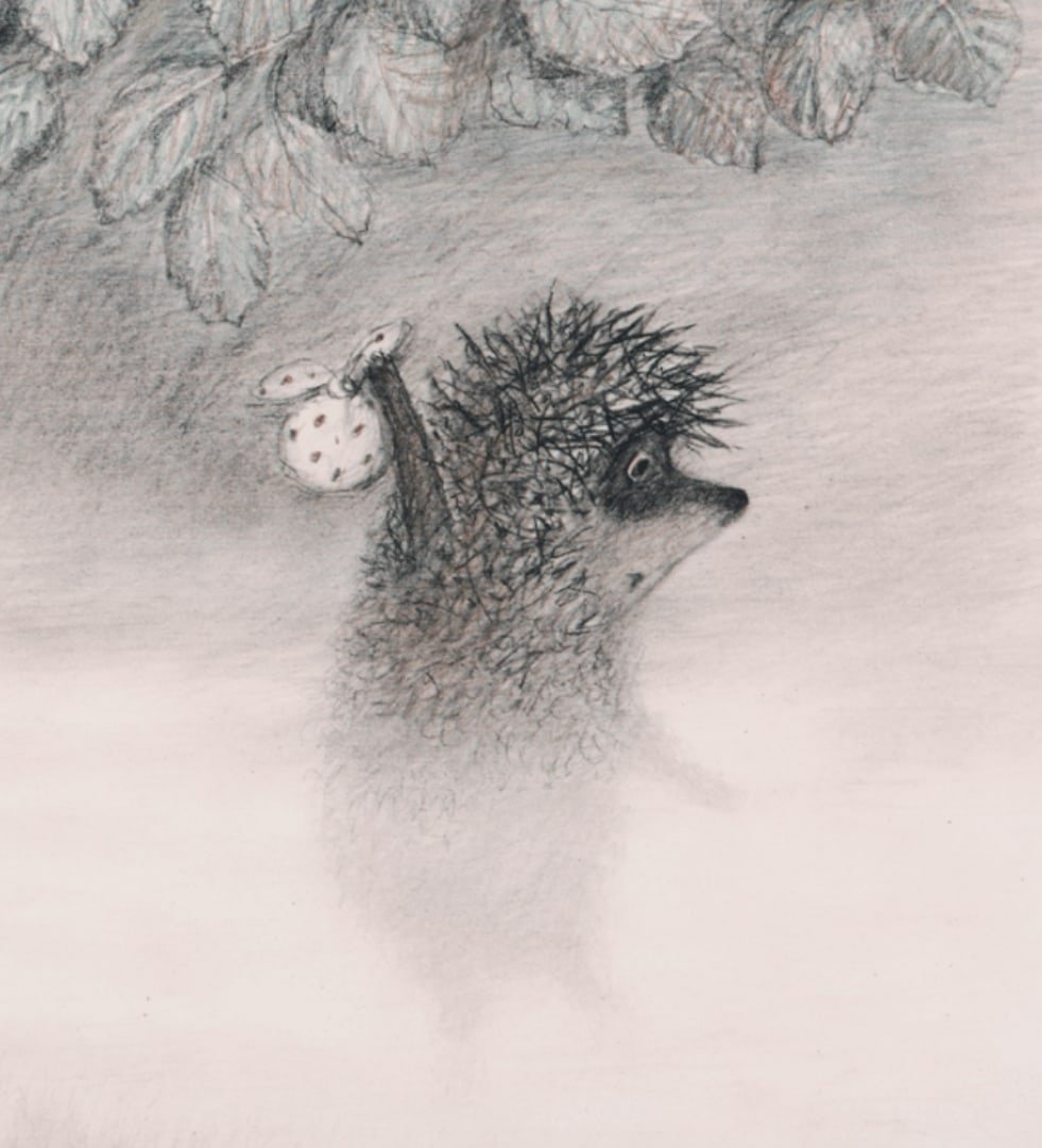 Ее искал ежик в тумане. Норштейн Ежик в тумане. «Ёжик в тумане» Юрия Норштейна. Норштейн Ежик в тумане иллюстрации.