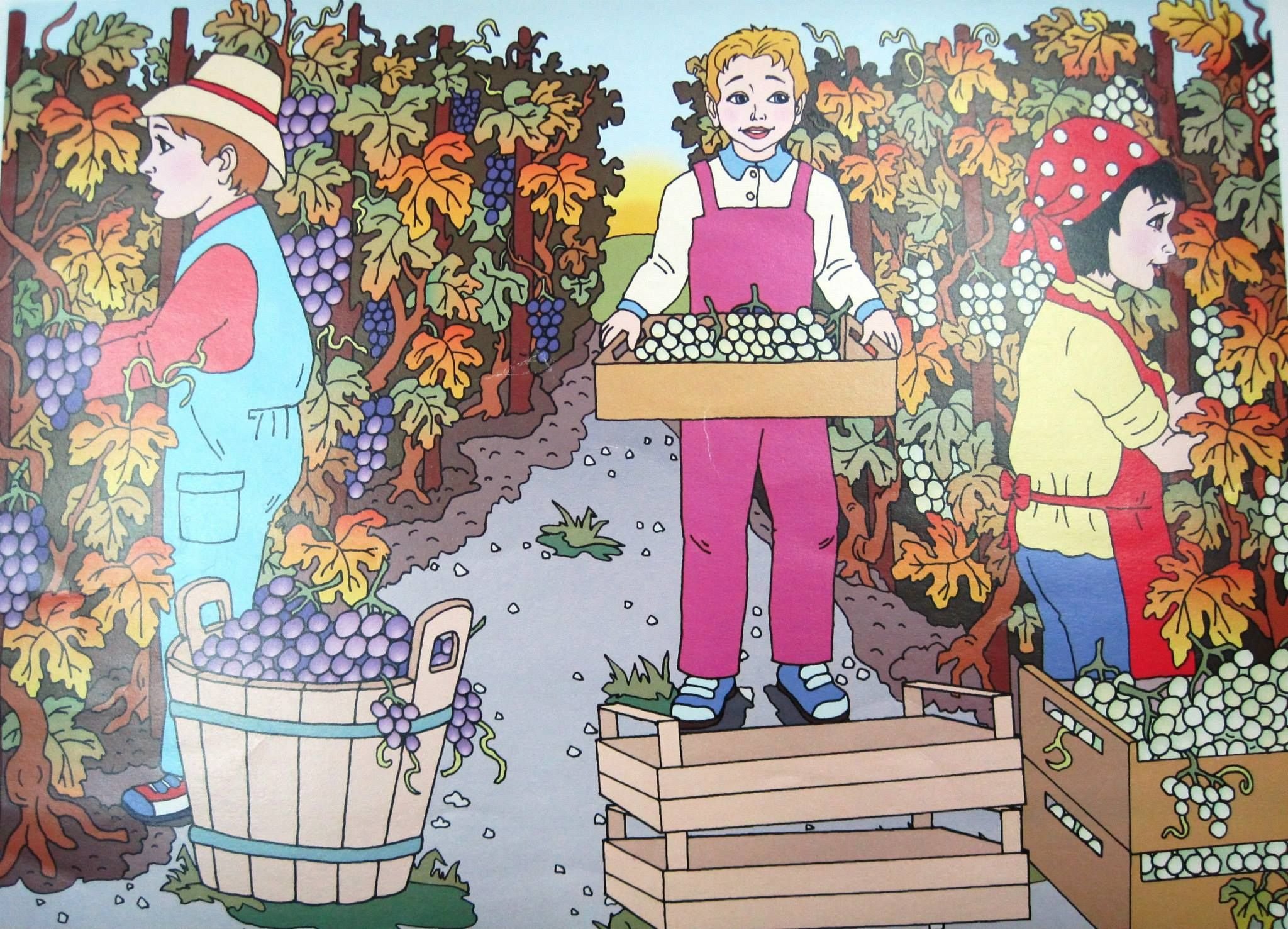 Сбор урожая осенью. Картина уборка урожая для дошкольников. Рисунок уборка урожая осенью. Сбор урожая картинки для детей.