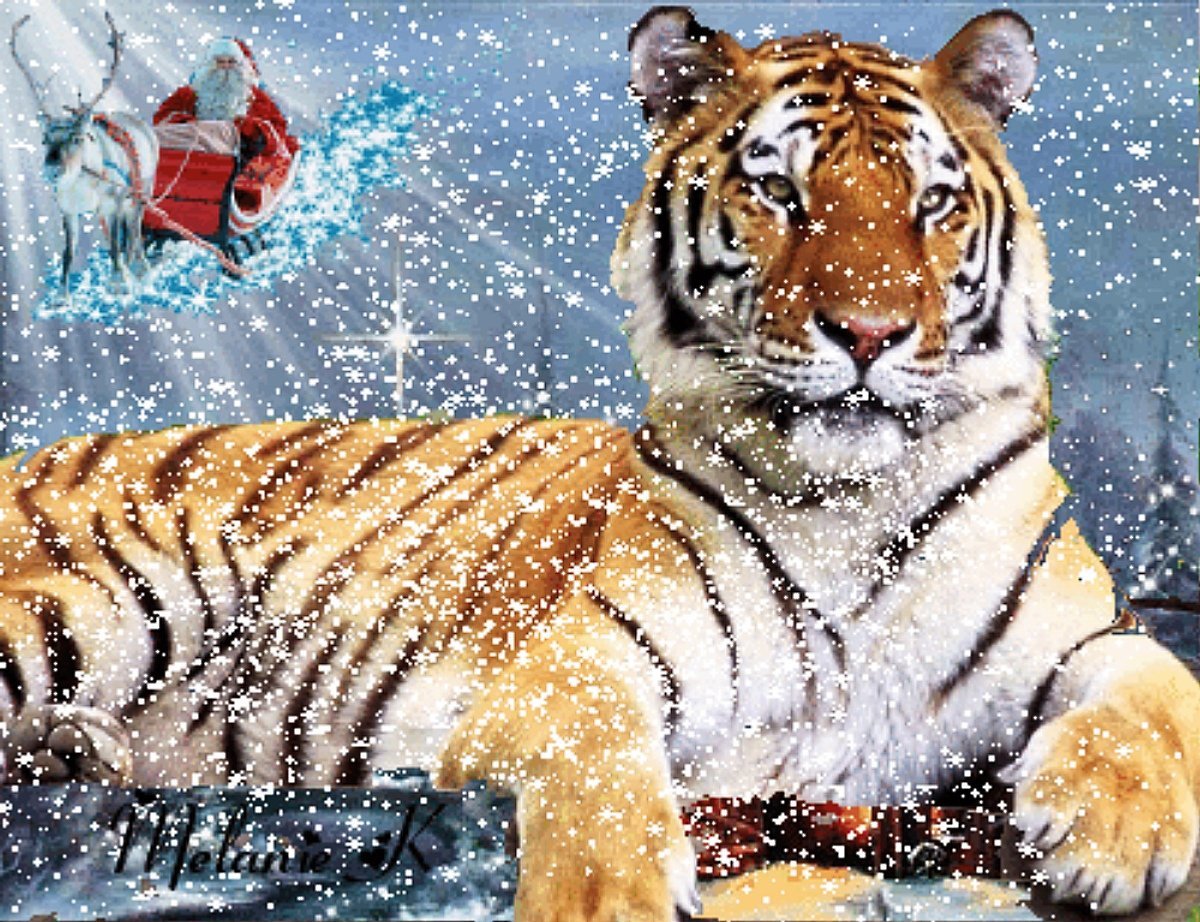 Год тигра картинки новогодние