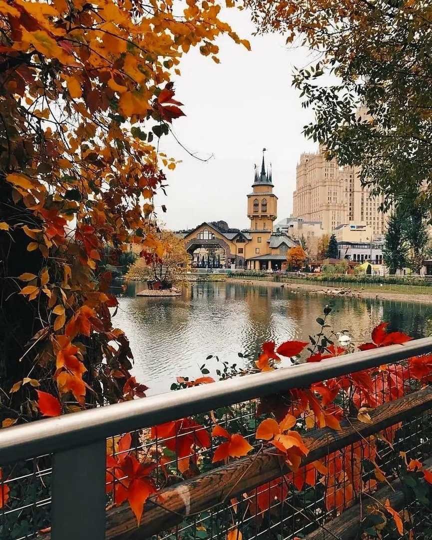 Осень в городе фото красивые
