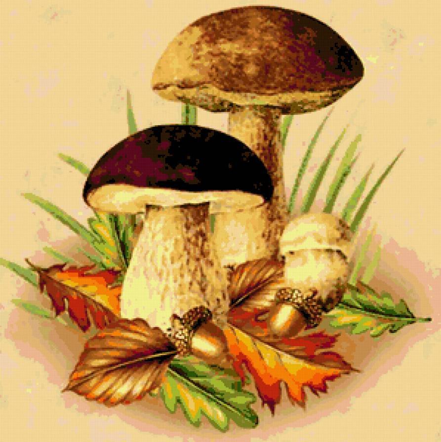 Рисование грибы в осеннем лесу