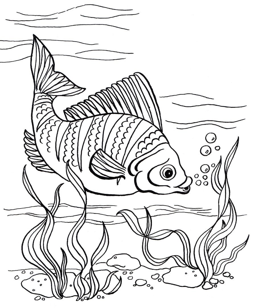 Рисунок рыбы для раскрашивания