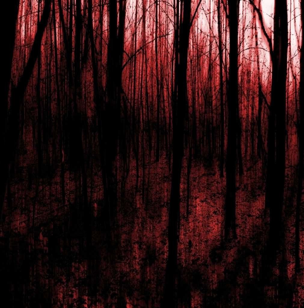 Кровавый лес фон