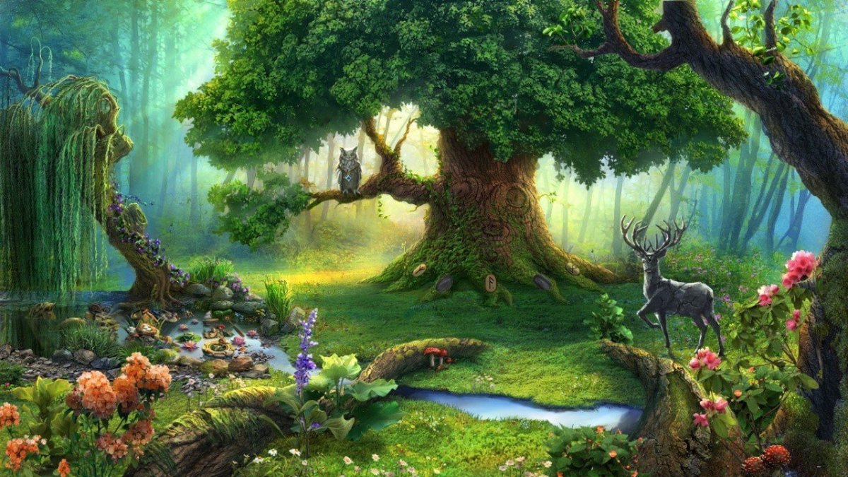 Волшебный фон лес
