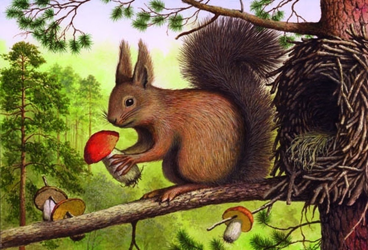 Белочка зимой иллюстрации