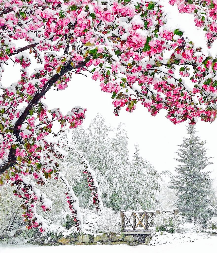 Девушка зима Эстетика