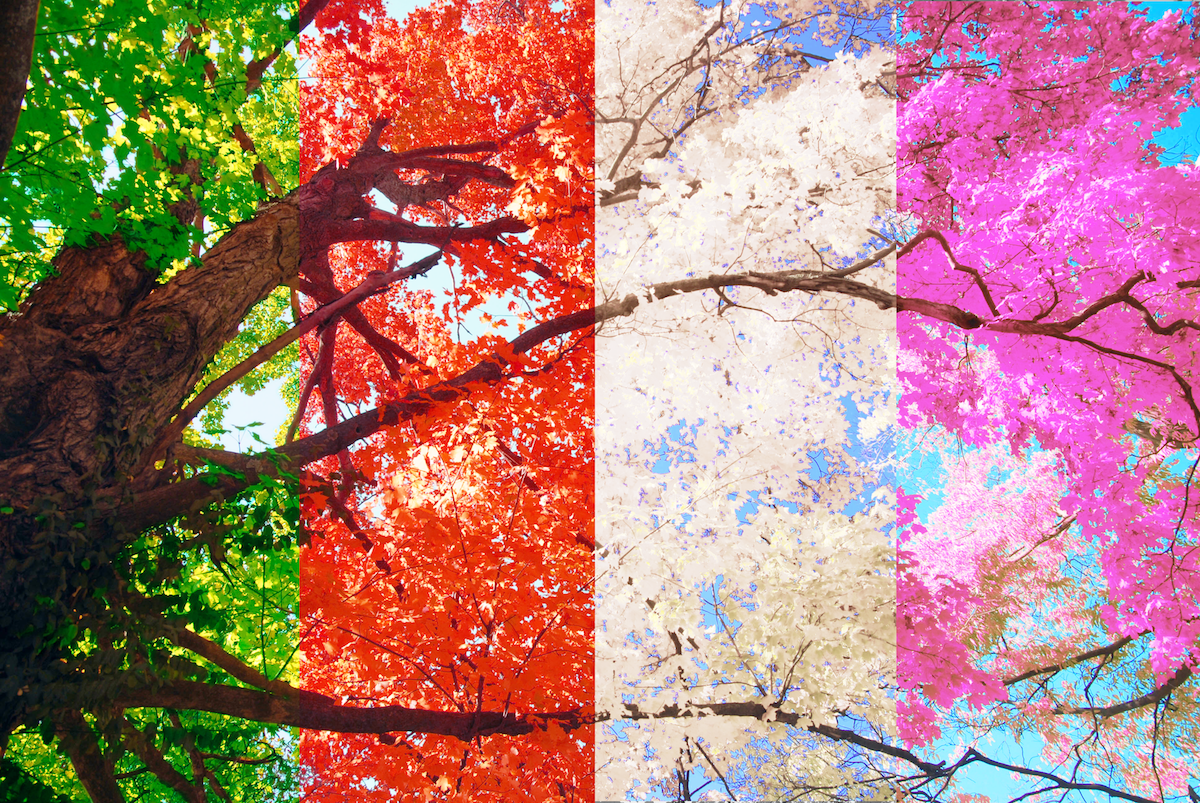 Пейзаж в Разное время года