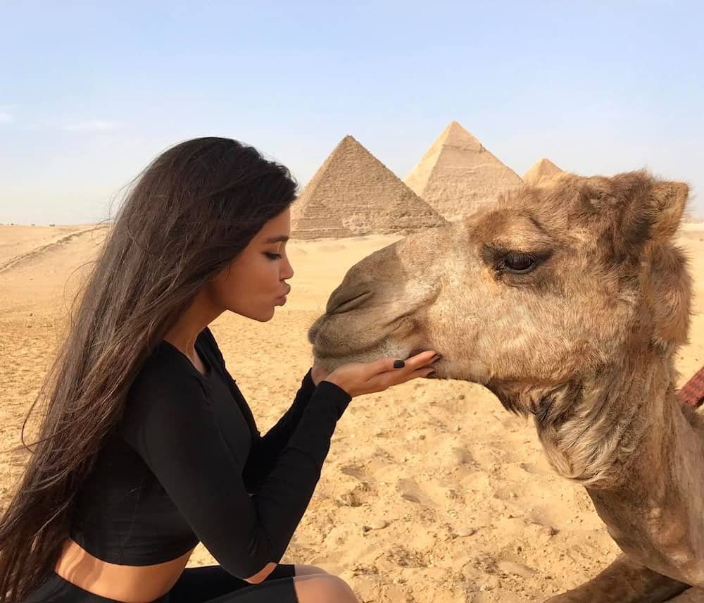 Девушка на верблюде