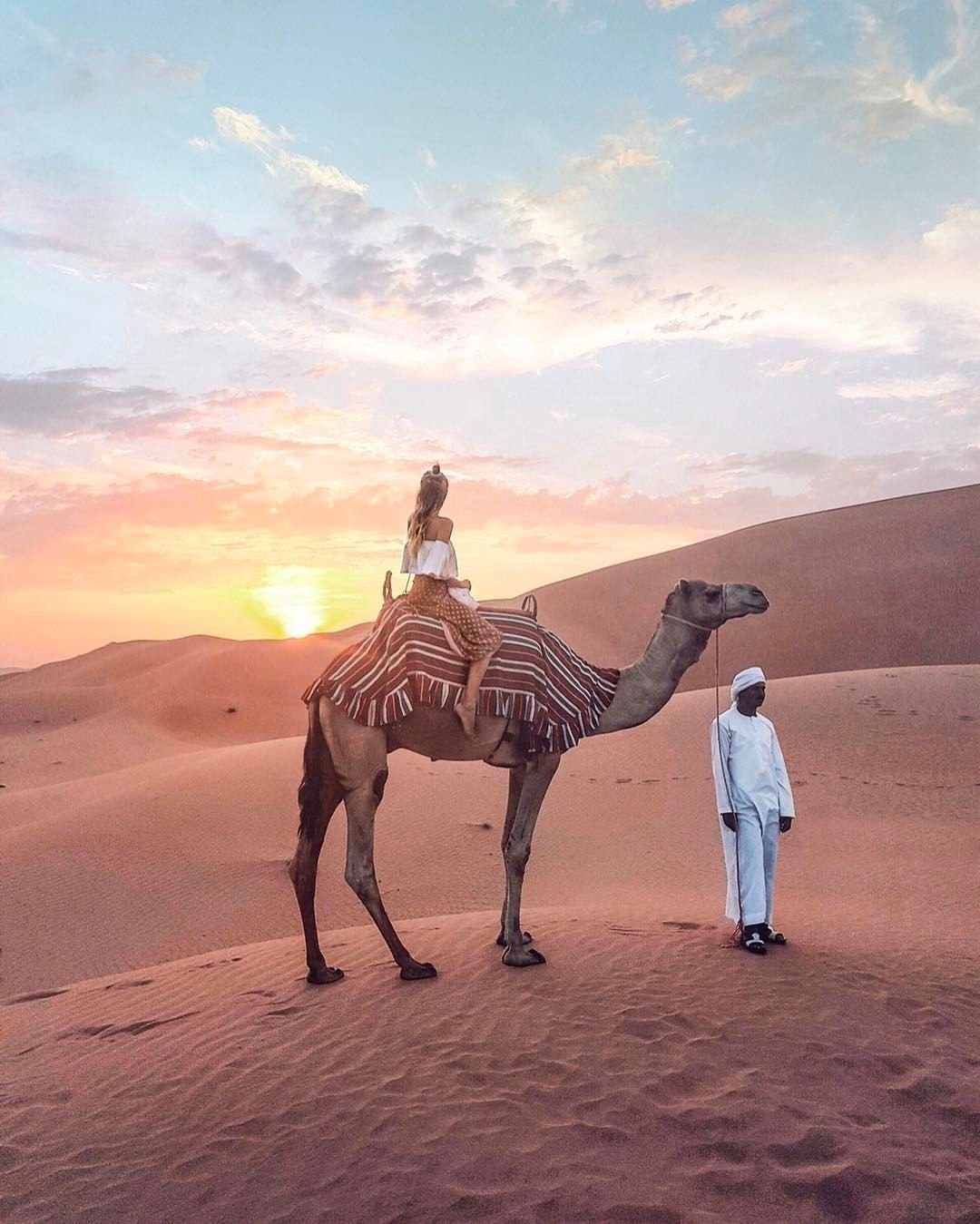 ОАЭ Верблюды