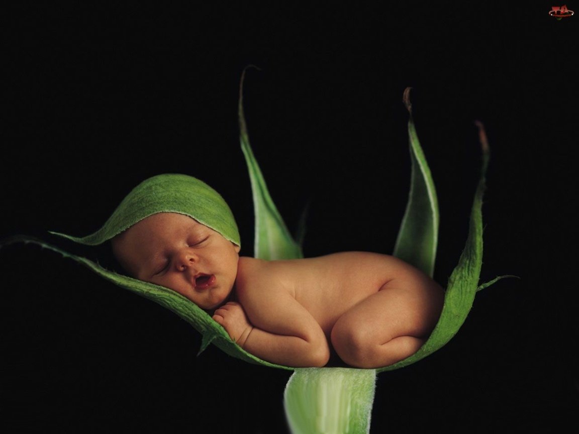 Самых сладких снов