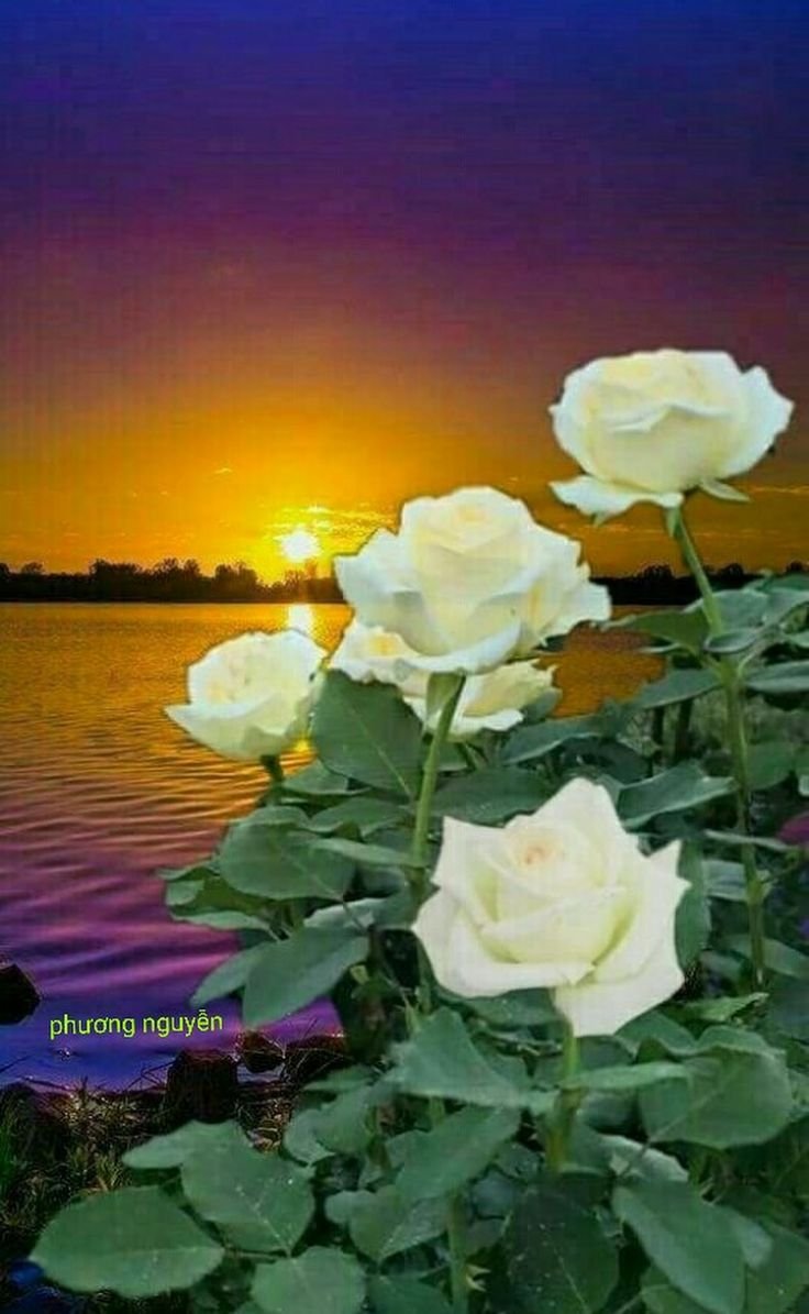 Красивого вечера