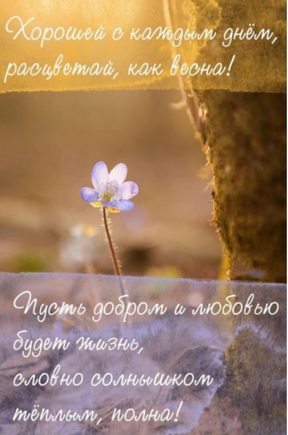 Доброе утро Весна цитаты