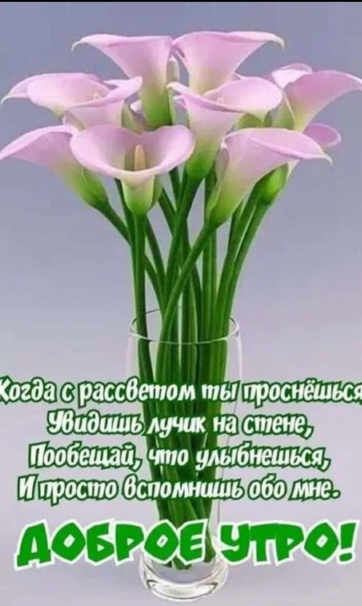 Пожелания с добрымиутром