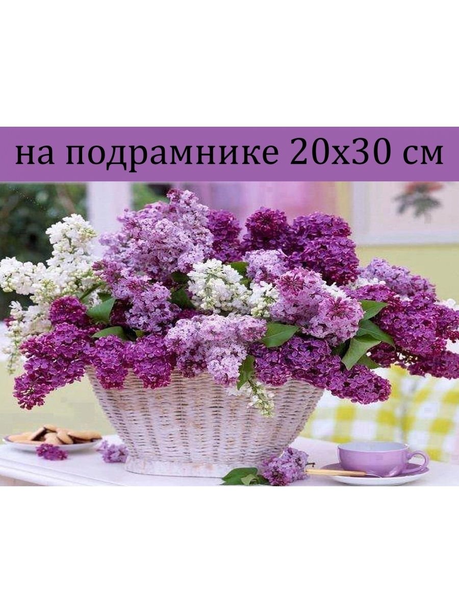 Доброе утро сирень