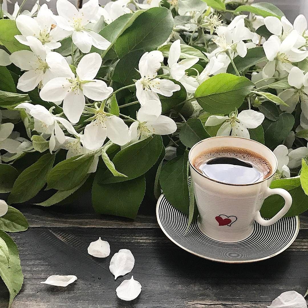 Весенние цветы и кофе