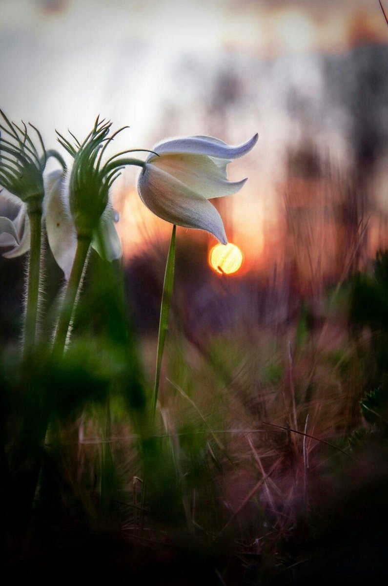 Доброе утро цитаты