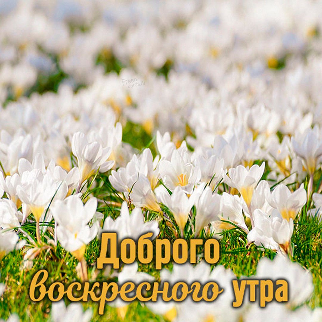 Стильное утро