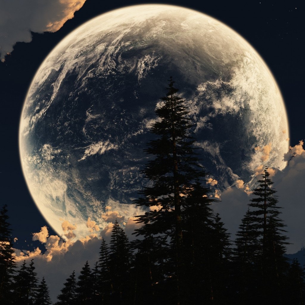 Девушка в лунном свете