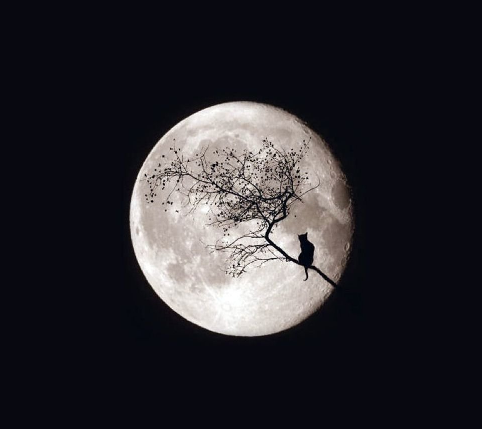 Луна аватарка