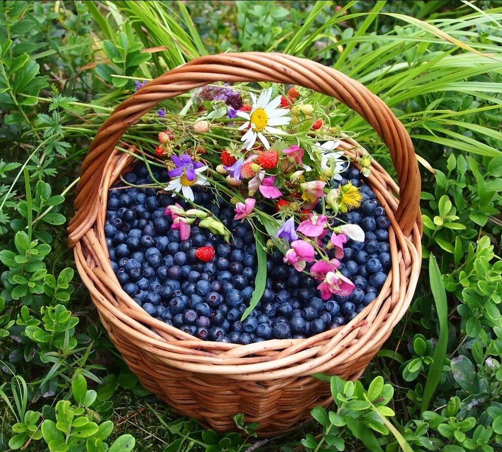 Корзинка с лесными ягодами