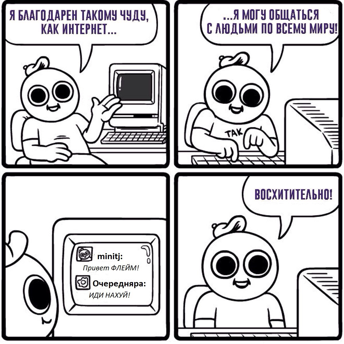 Енот в солнечных очках