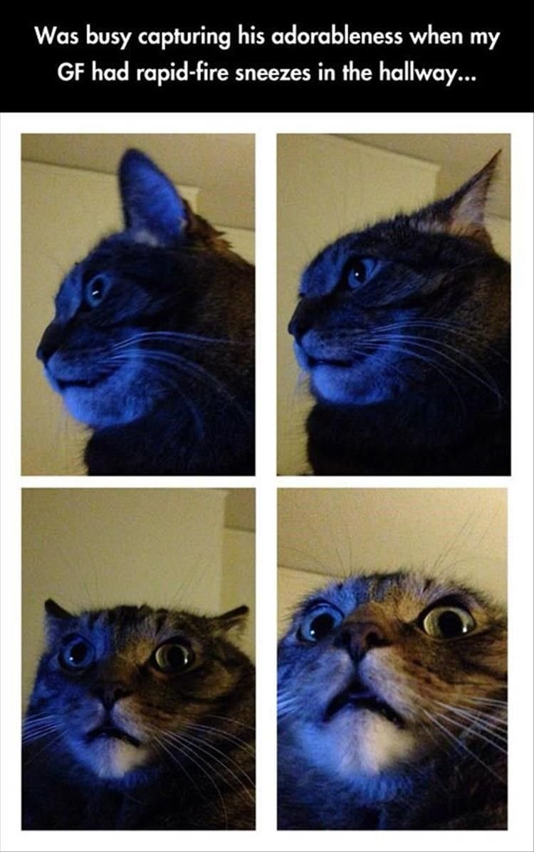 Приветик меня зовут счастье