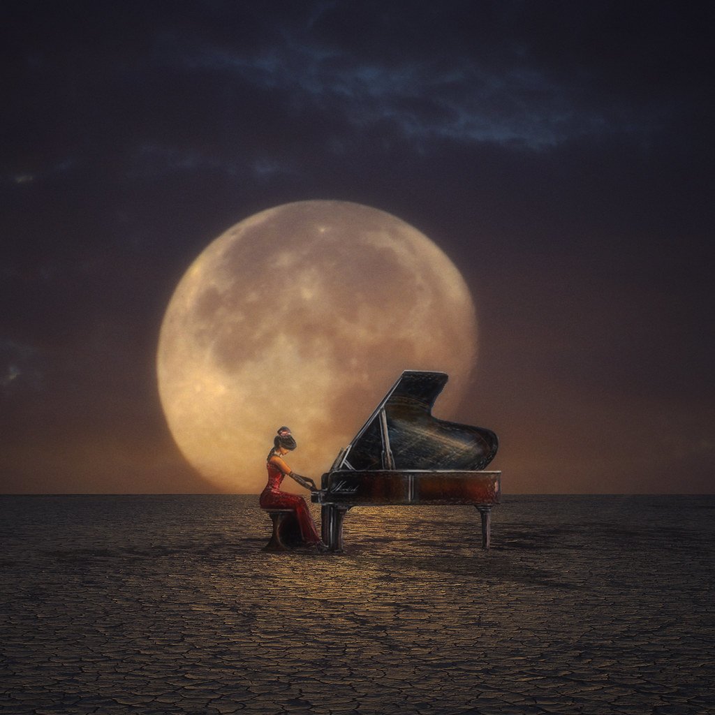 Цветы в лунном свете