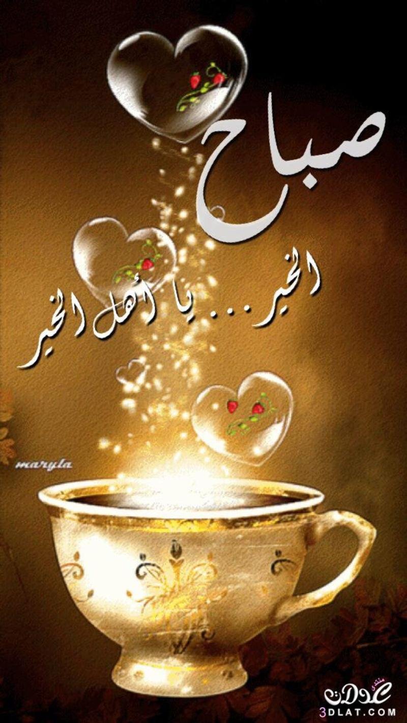 Волшебное утро