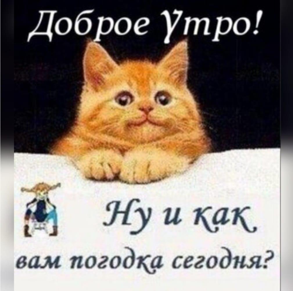 Удачной недели картинки