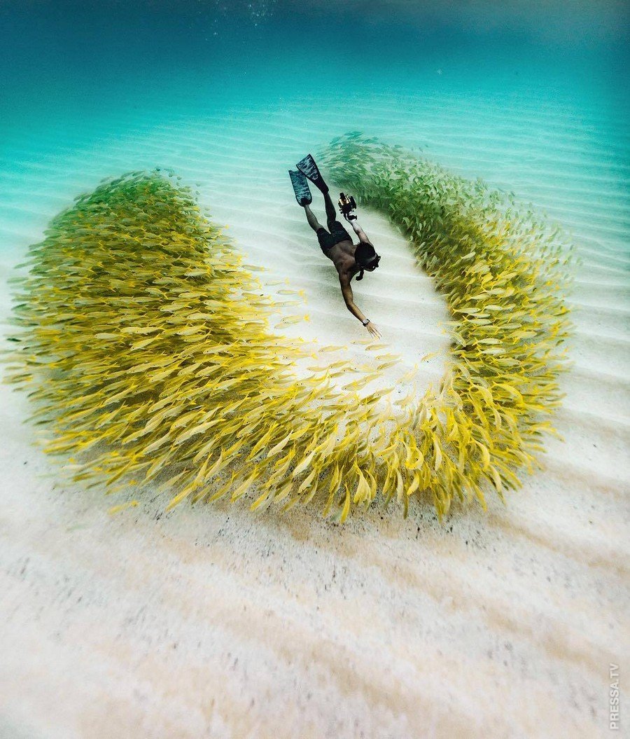 Море позитива и хорошего