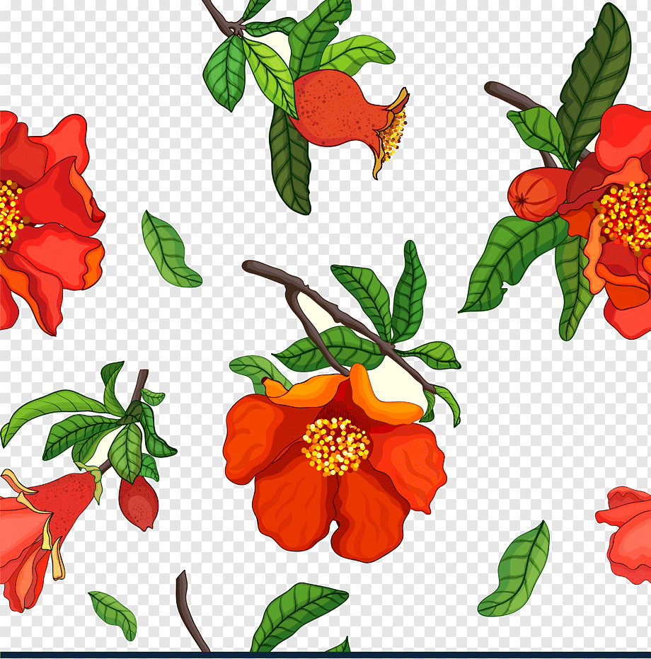 Цветы гранат обыкновенный оранжевый