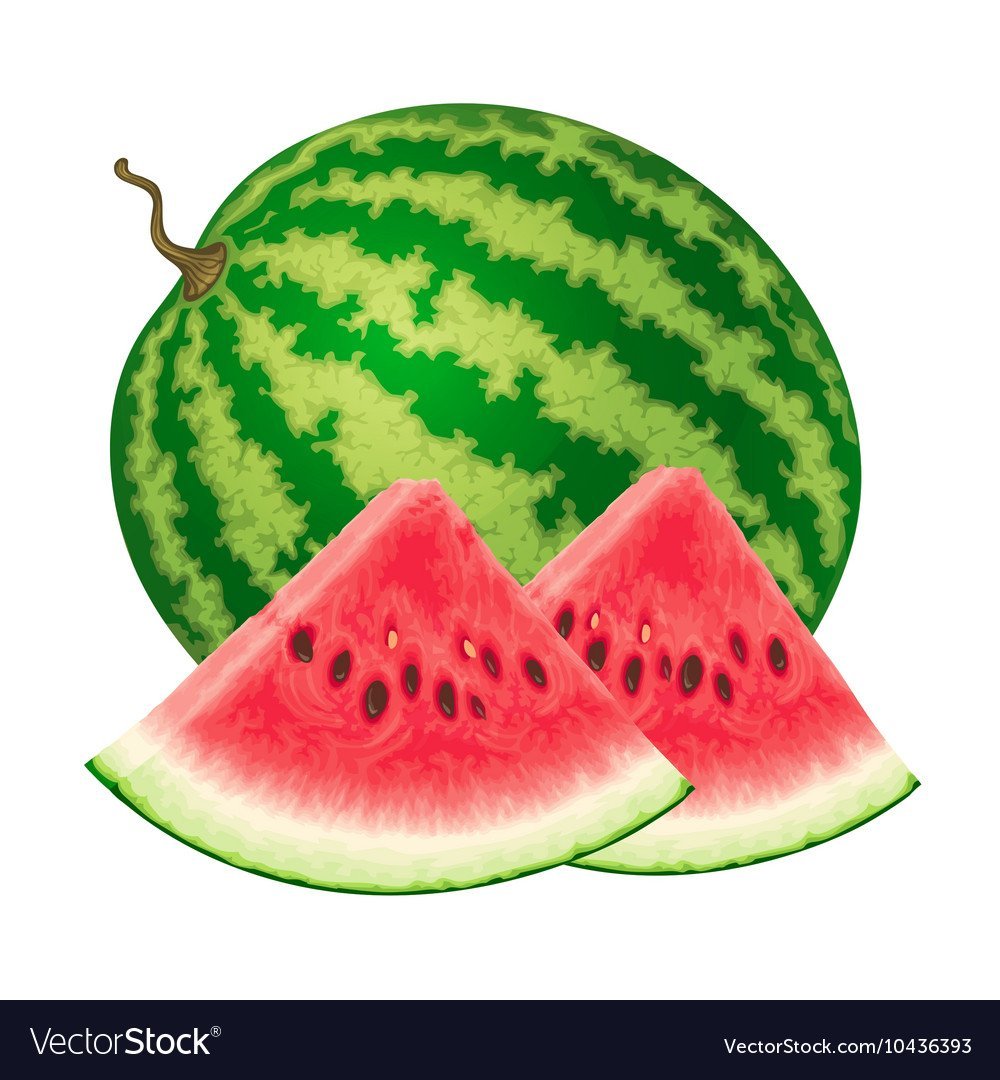 Арбуз красками на белом фоне