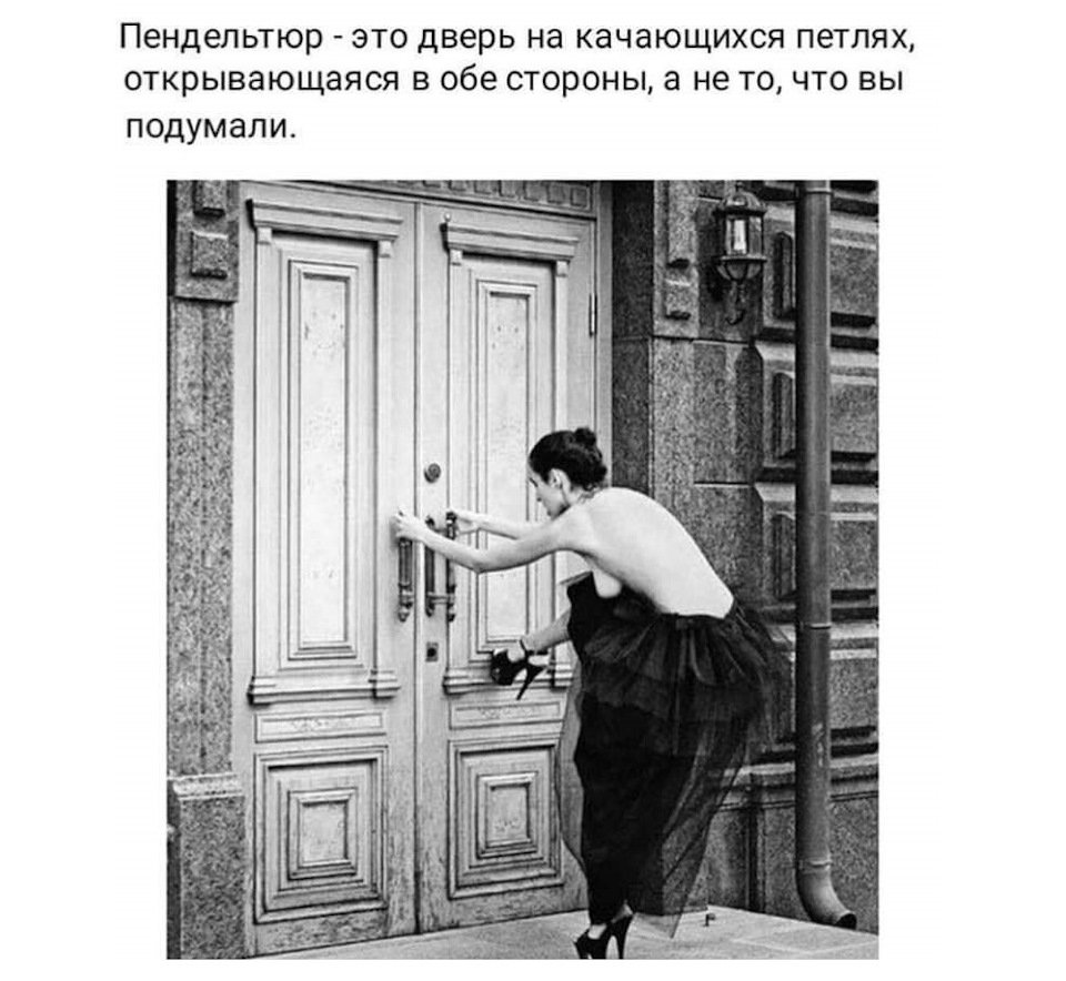 Ручка дверная vector