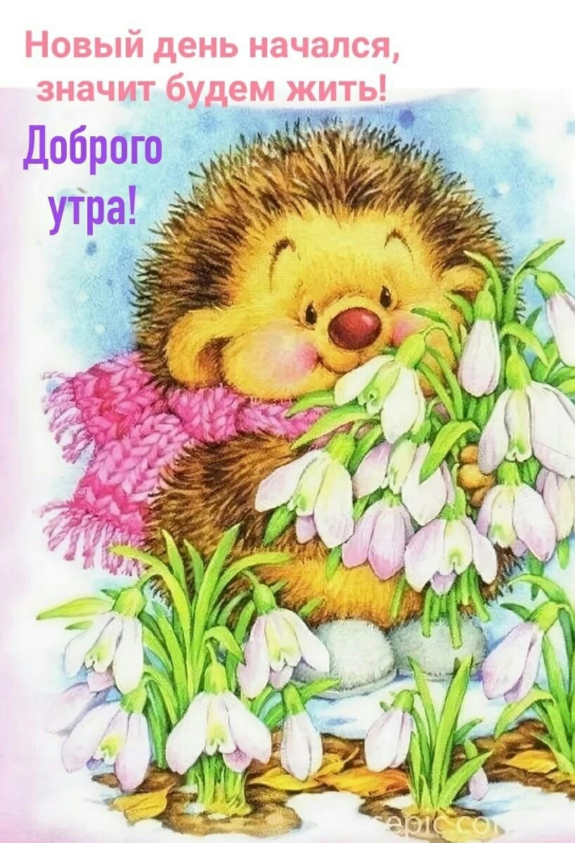 Марина Федотова ежики