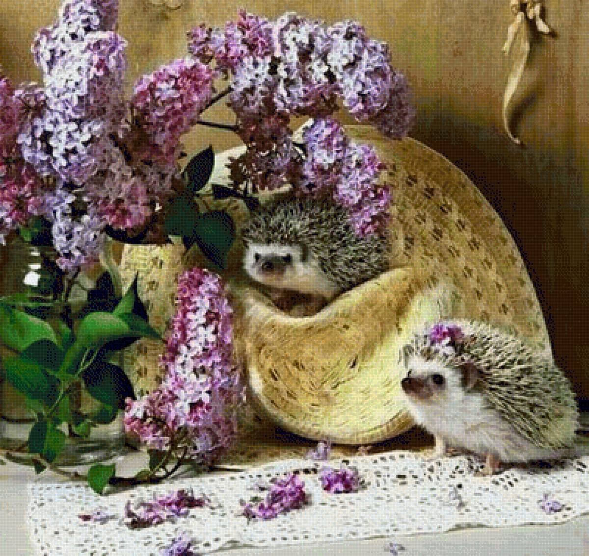 Ежики Елена Еремина сирень