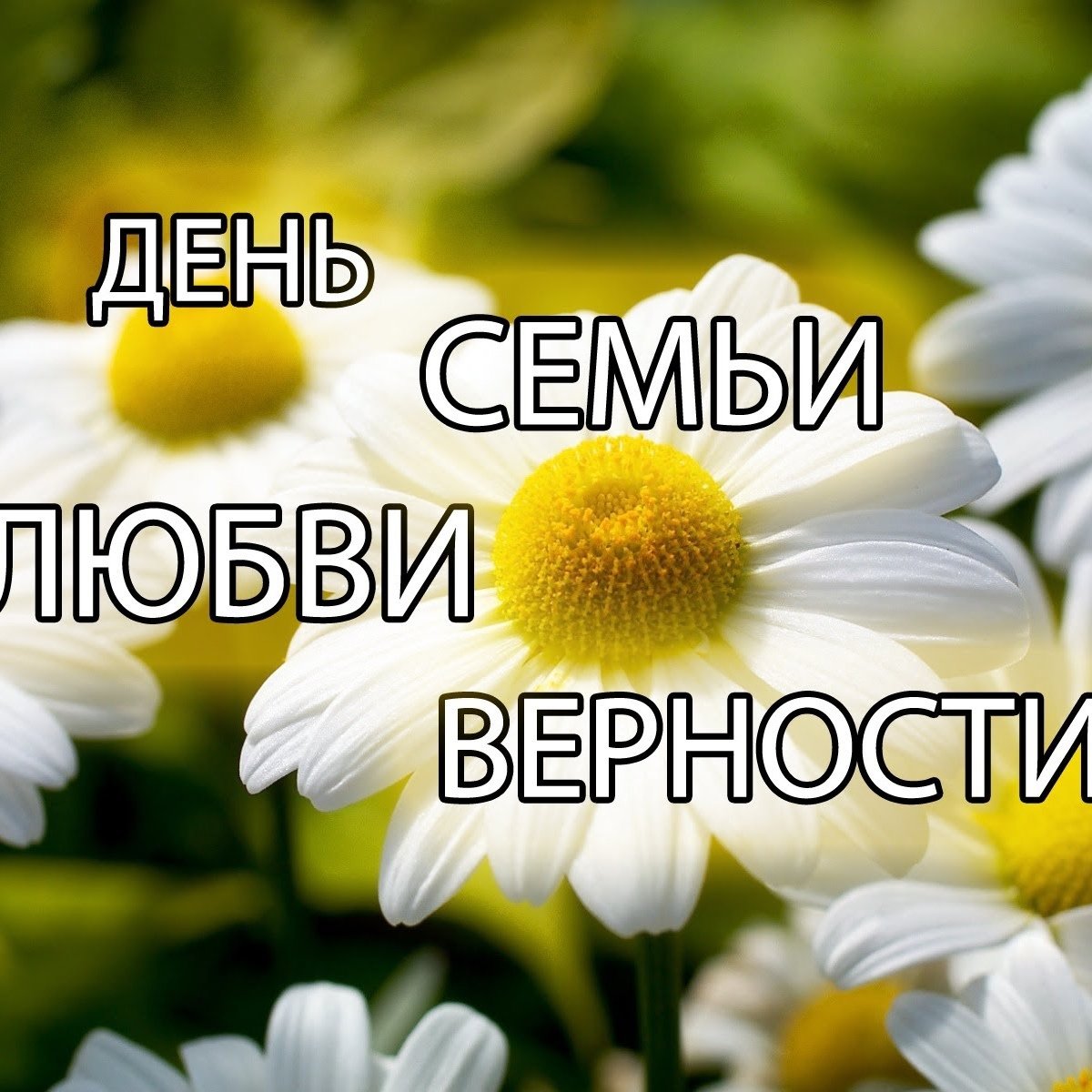 С днём семьи любви и верности любимой