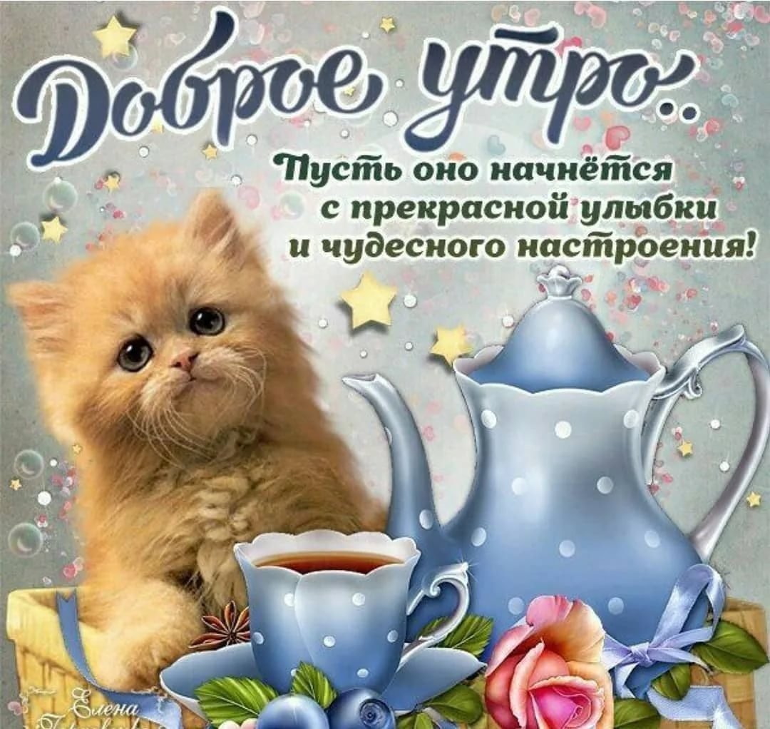 Дорого утра и хорошего настроения