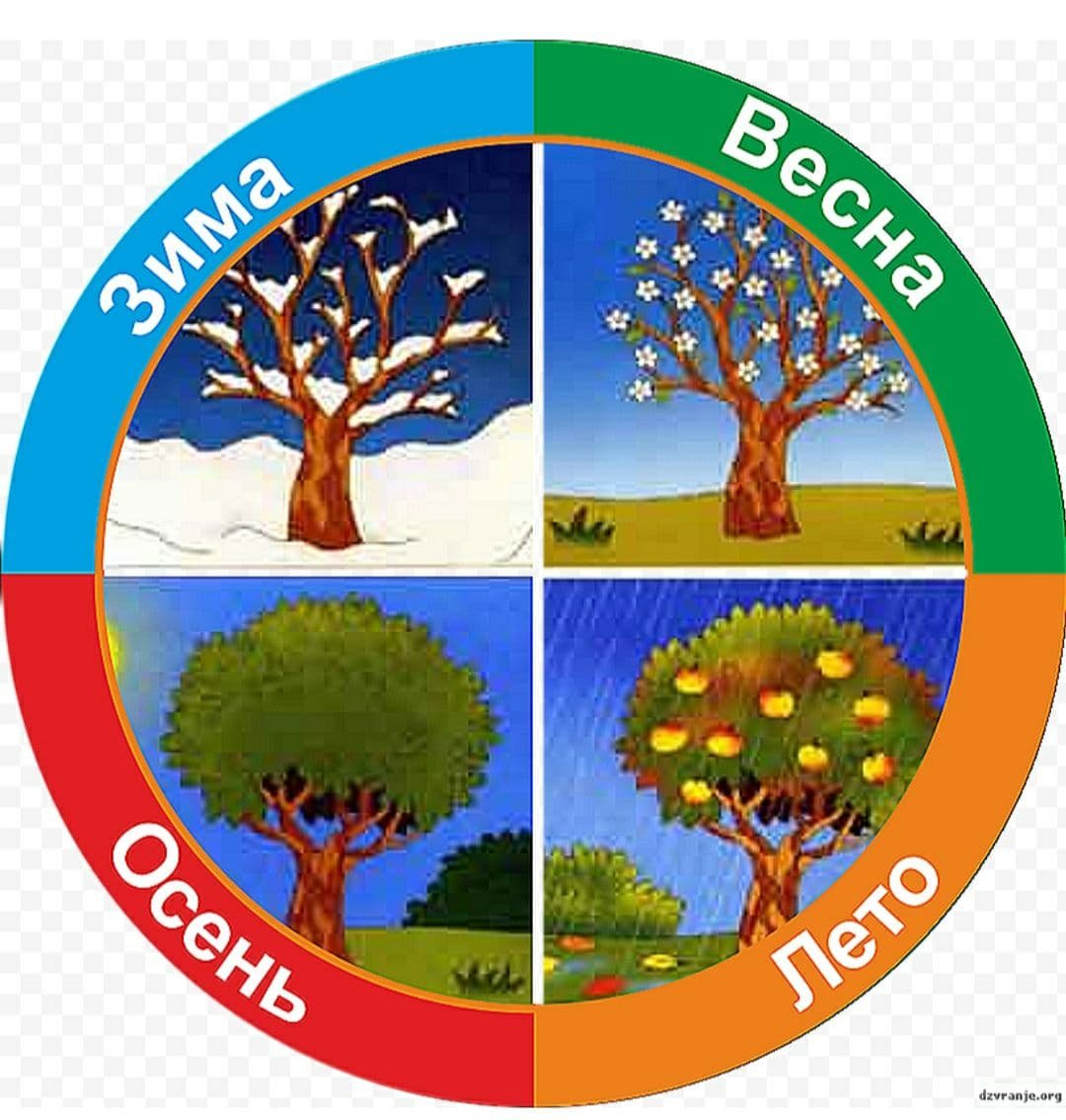 Иллюстрации с изображением времен года