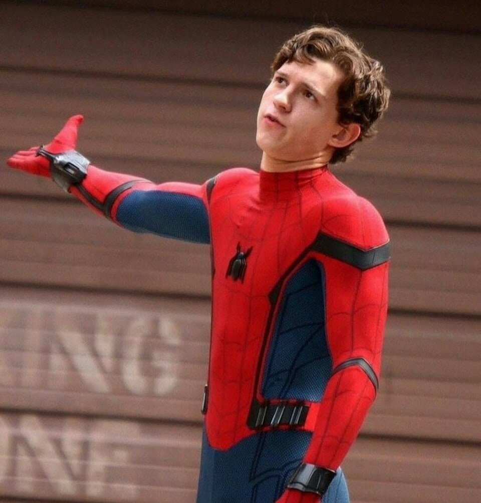 Alex Ross Spider-man 2002