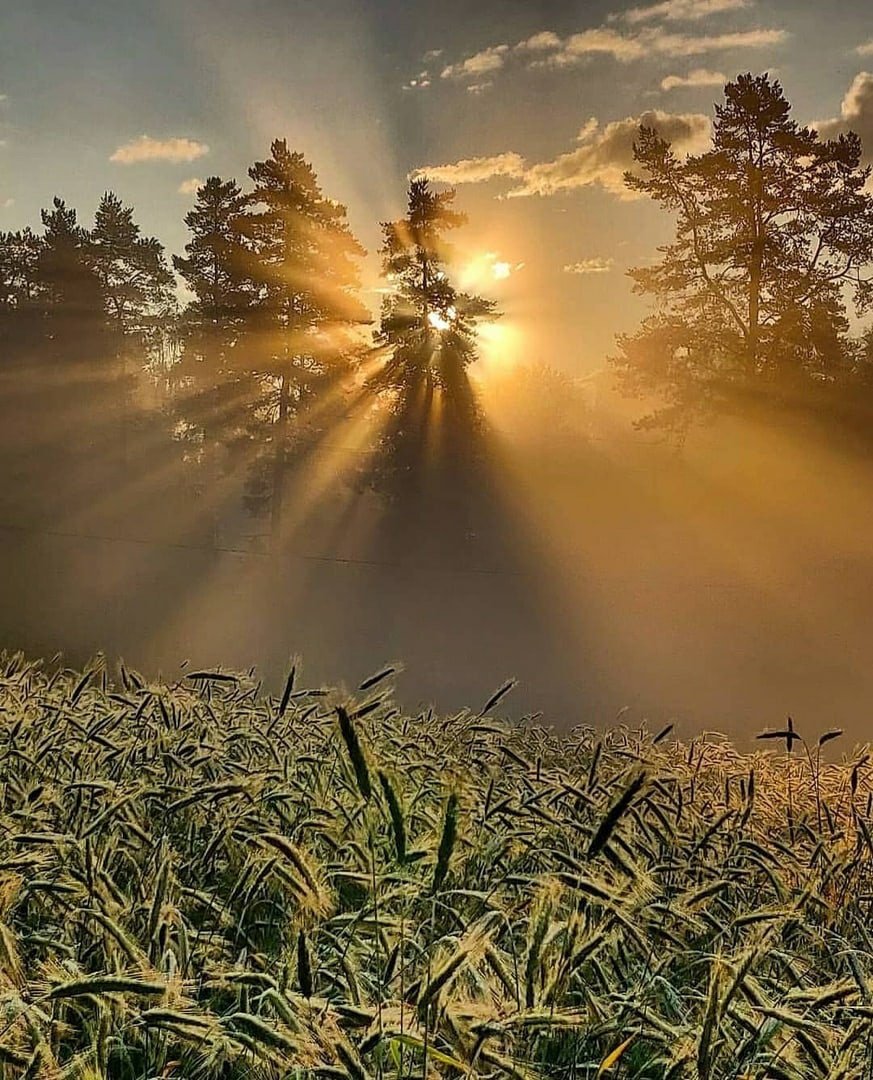 Первые лучи солнца