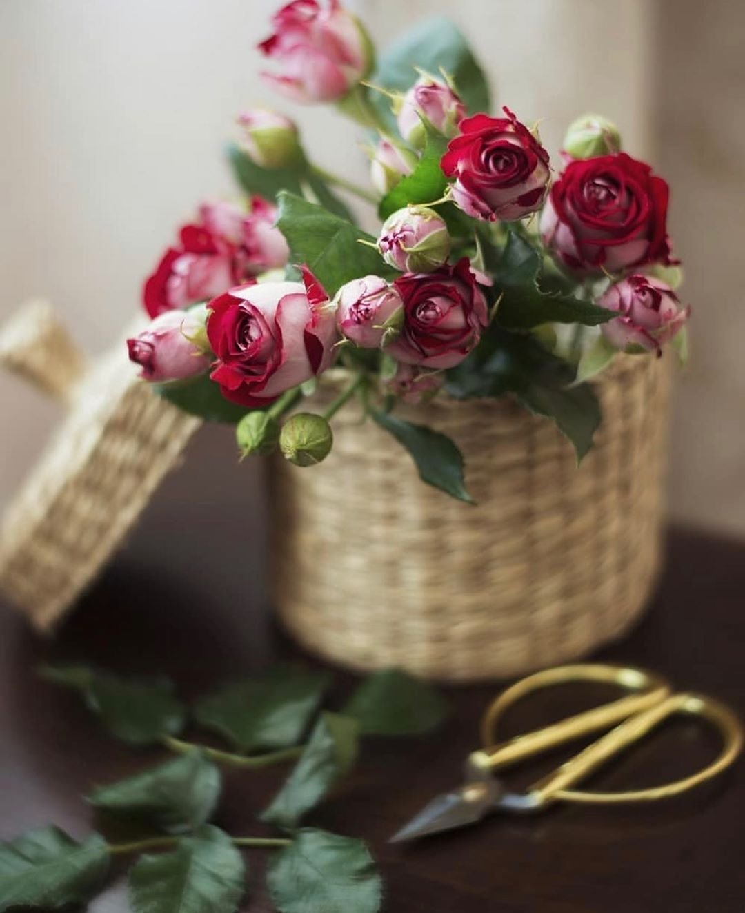 Доброй пятницы нежность