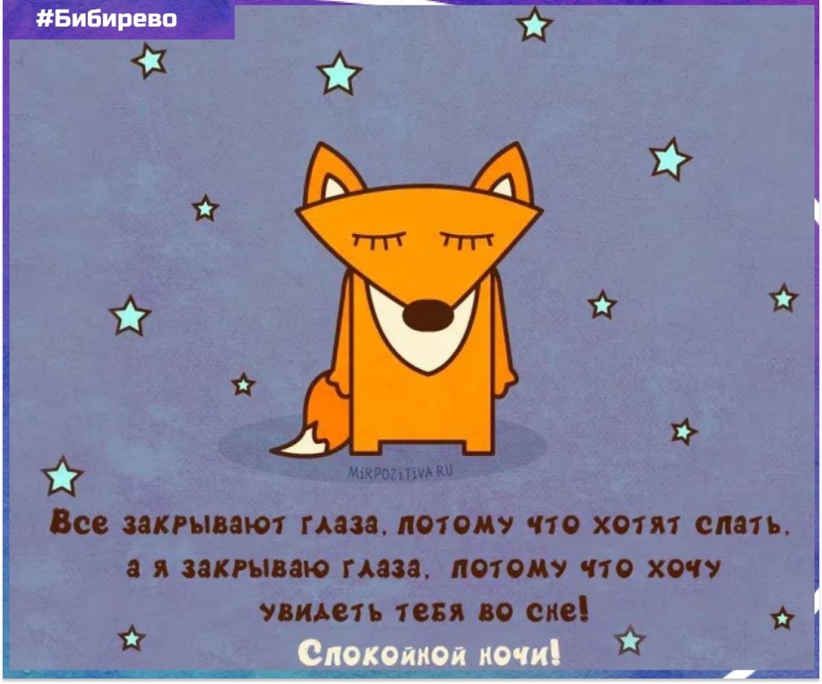 Пожелания на ночь прикольные