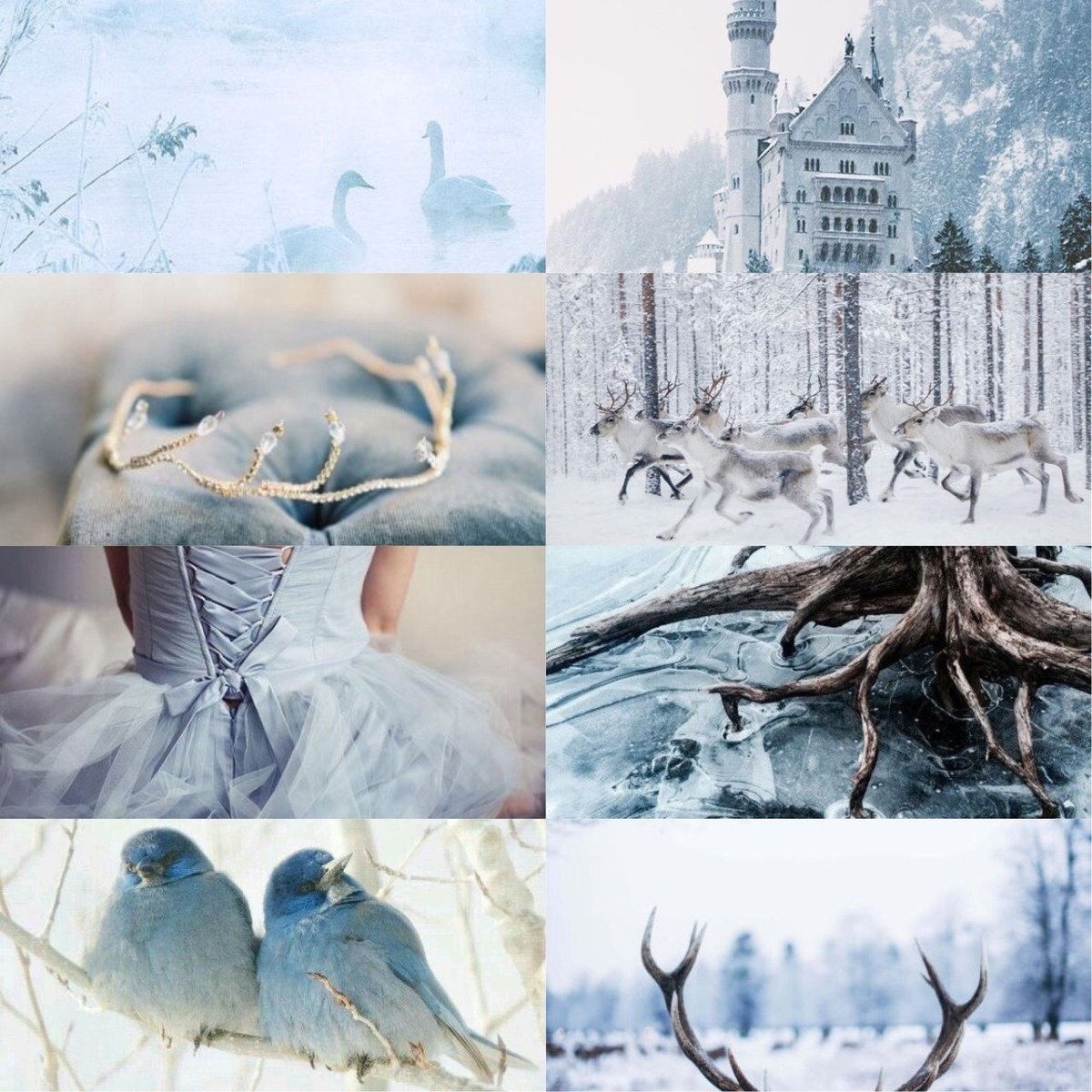 Февраль природа