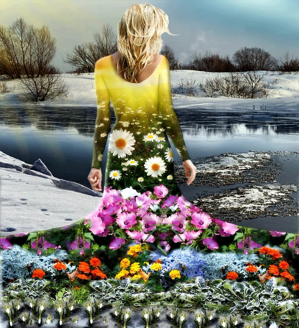 Креативное растение