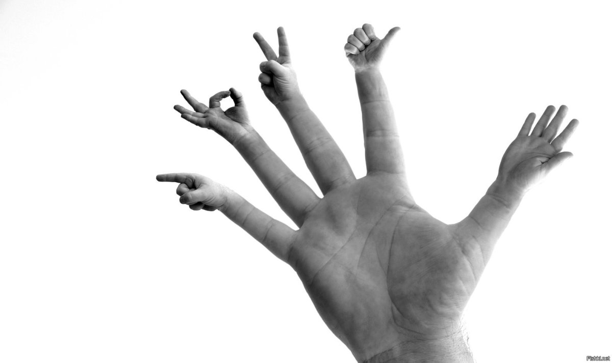 Ладонь Приветствие